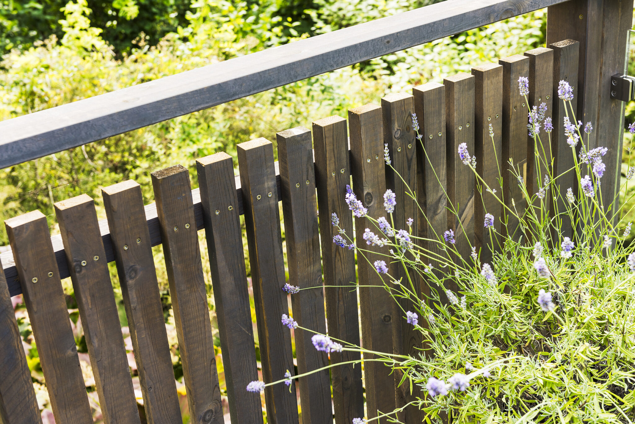 Rekkverk av MøreRoyal lekter - plante med lilla blomster i front.