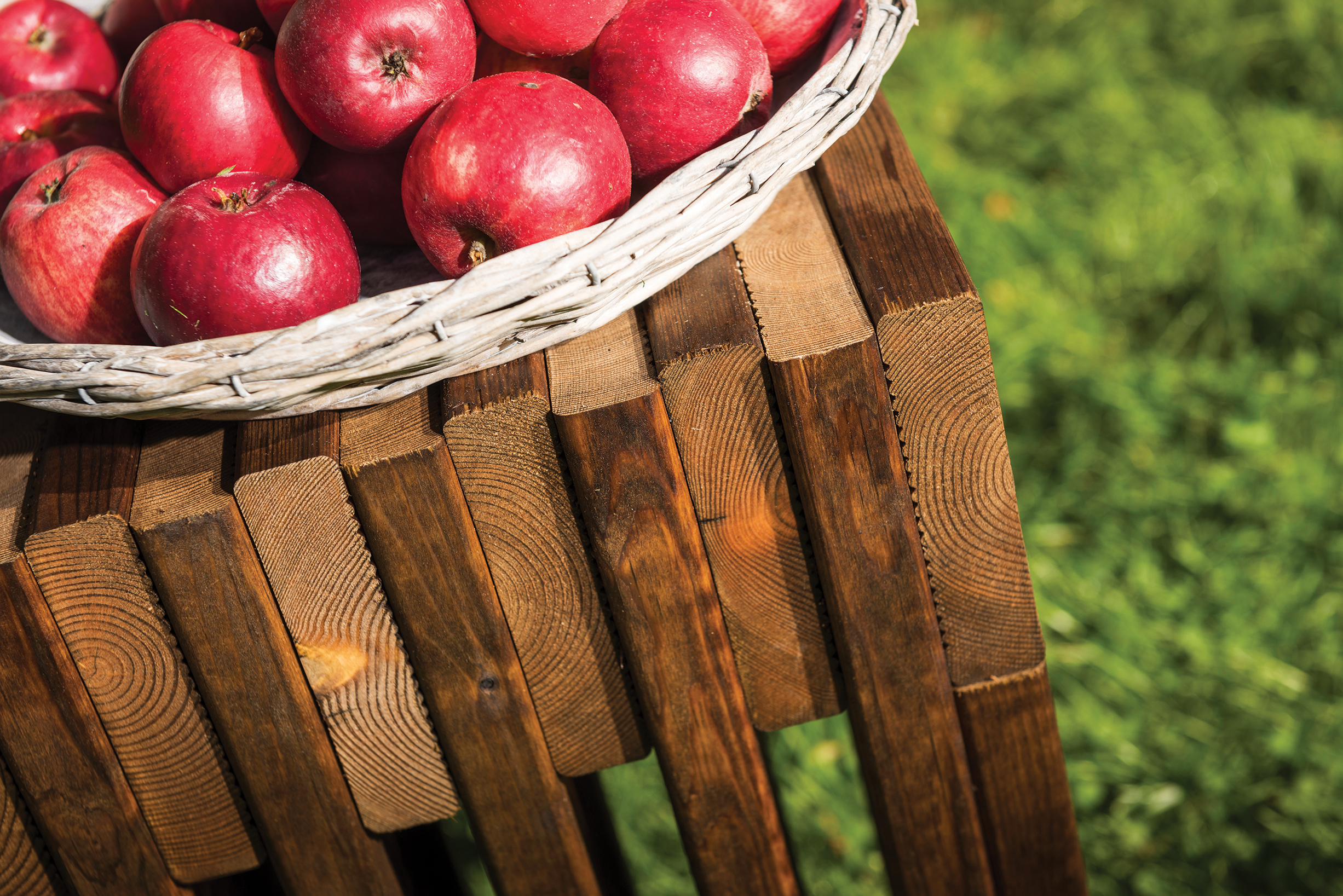 Benk av terrassebord