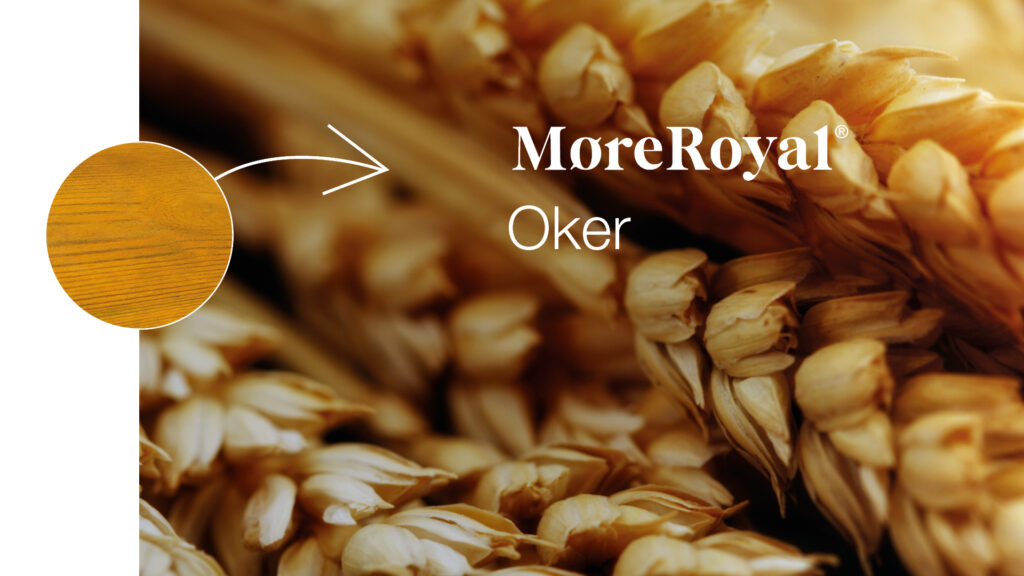 Talgø farger banner Oker